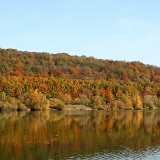 Herbst 2012 004 : Rosarium am See
